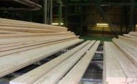 俄羅斯烘干板材樟子松 建筑建材領(lǐng)域的優(yōu)選材料與全球采購指南