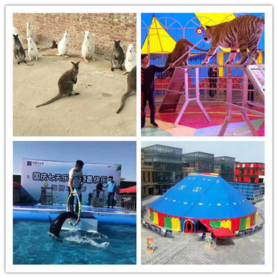 瓊海出租雜技馬戲團(tuán)表演節(jié)目類型多