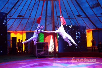 馬戲團(tuán)表演的電話