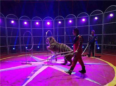 地產(chǎn)開(kāi)盤暖場(chǎng)大馬戲團(tuán)表演出租咨詢預(yù)定