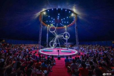 雜技馬戲團獅子表演環球飛車大飛輪表演出租動物租賃資源