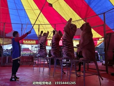 【帶家人來觀看馬戲團出租北海市】詢價單