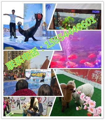 武穴哪里有馬戲團出租表演的呢_志趣網