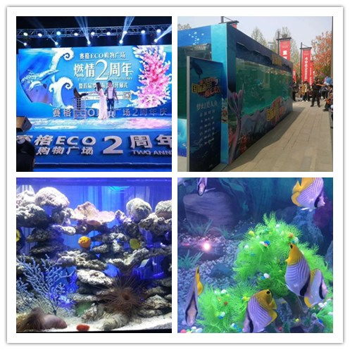 上饒市羊駝?wù)钩鲎庾赓U三天活動(dòng)