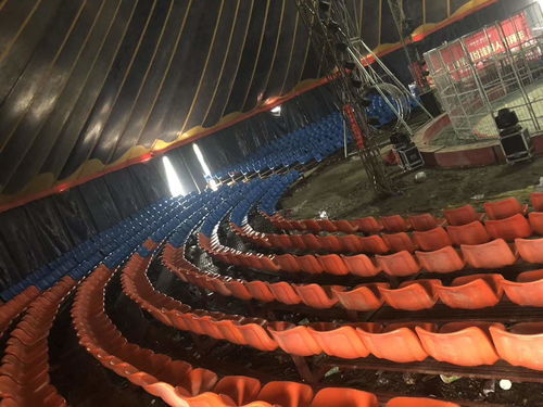 馬戲團(tuán)出租 延安趣味萌寵動(dòng)物