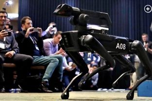 波士頓動(dòng)力與太陽(yáng)馬戲團(tuán)合作 由spot機(jī)器狗參加演出