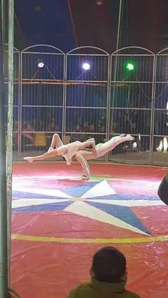 孫吳縣馬戲團(tuán)演出租賃合作模式