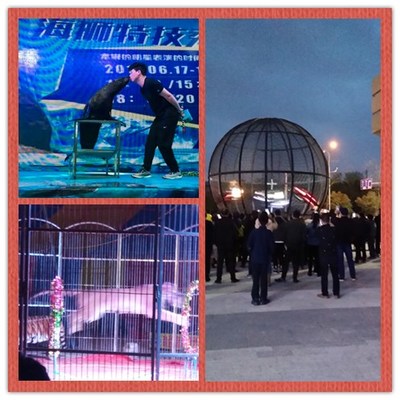 勝凱|動物出租|馬戲團(tuán)表演出租|魚缸展|環(huán)球飛車|馴鹿出