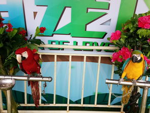 馬戲團(tuán)報(bào)價(jià) 廠家