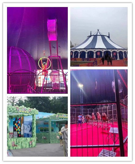 沈陽市馬戲團(tuán)表演出租企鵝租賃元旦活動