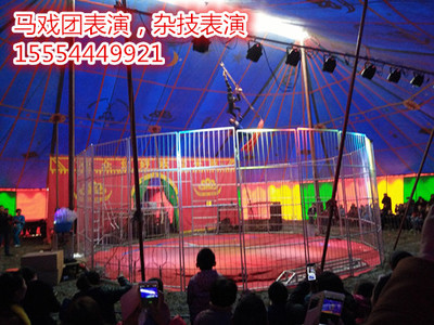 馬戲團(tuán)表演租賃怎么合作的南雄市