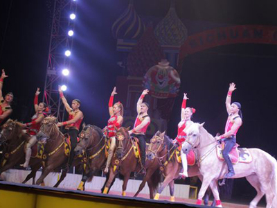 本地大型雜技表演,小丑表演,馬戲團商演聯(lián)系電話