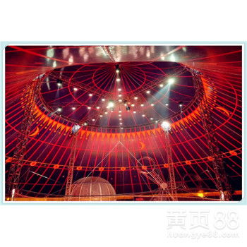 【馬戲團表演出租馬戲團演出租賃馬戲團團隊演出資源】- 