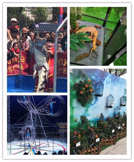 青島市萌寵租賃