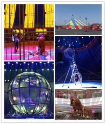 十堰萌寵動物羊駝?wù)褂[租賃海獅馬戲團表演出租百鳥展鸚鵡表演