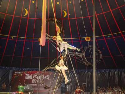 小型馬戲團出租 合作馬術(shù)馬戲團表演