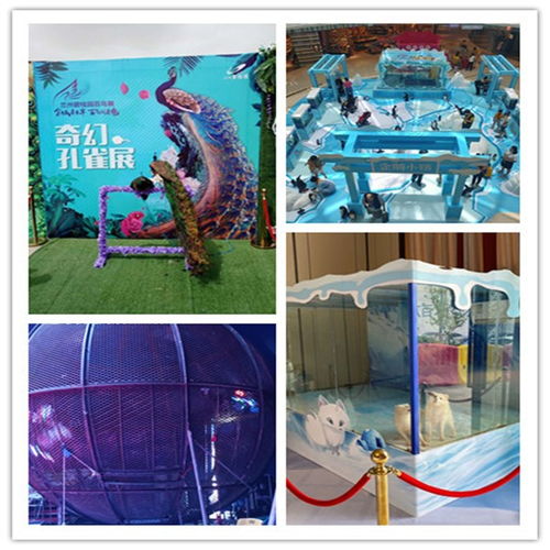 臨夏市對外馬戲團表演出租