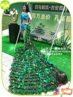 河池海洋展哪里有出租租賃的