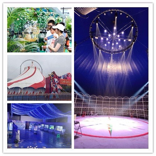 阜新市租賃企鵝展與馬戲團表演合作項目